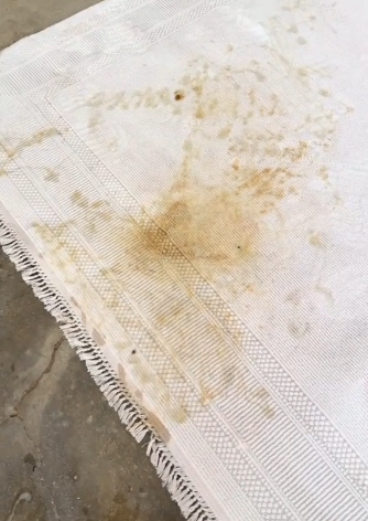 Halı Yıkama